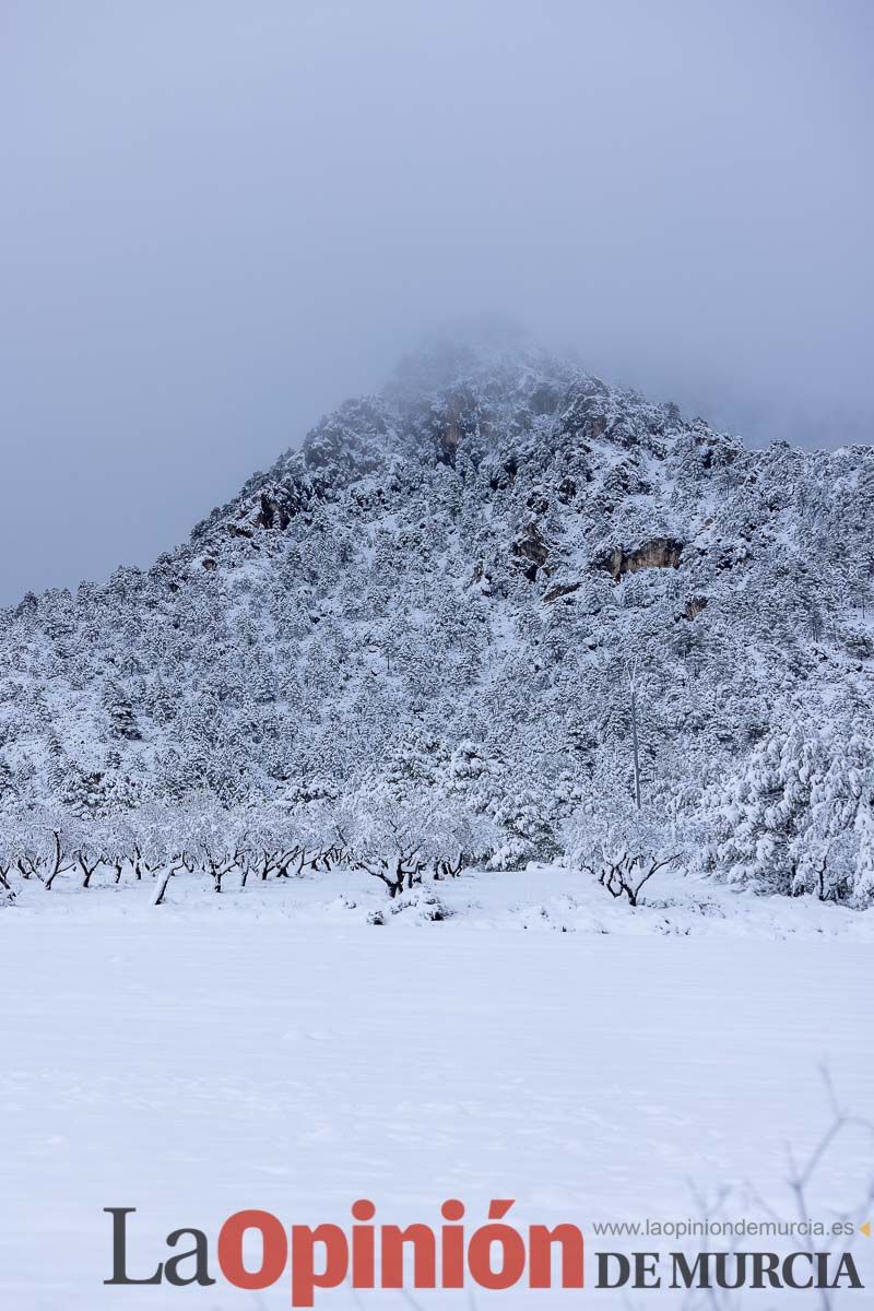 La comarca del Noroeste ofrece una estampa invernal