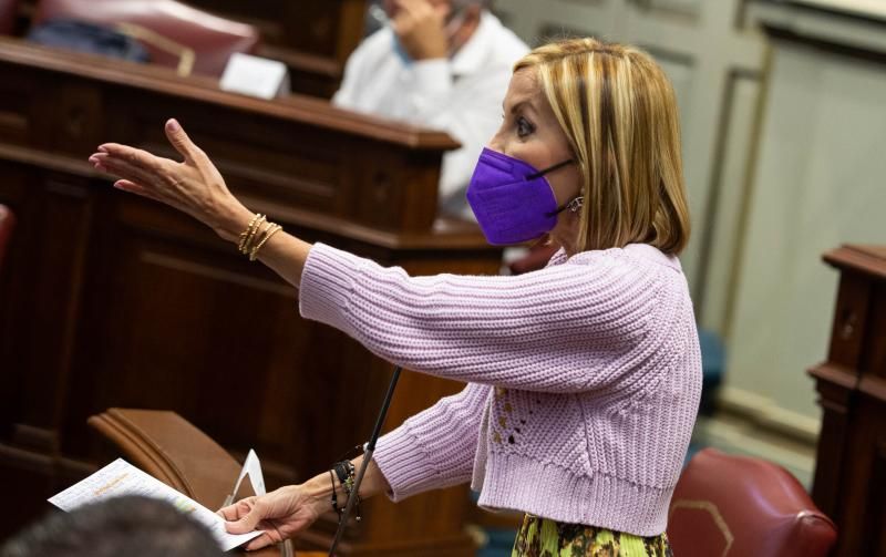 Pleno del Parlamento de Canarias.