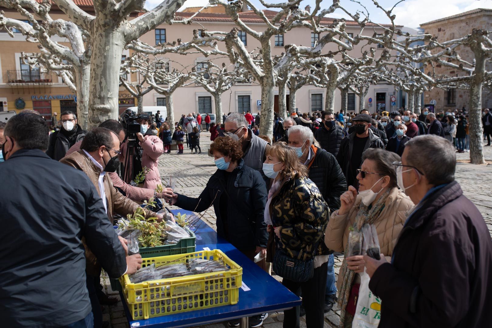 GALERÍA | La Diputación de Zamora celebra el Día del Árbol