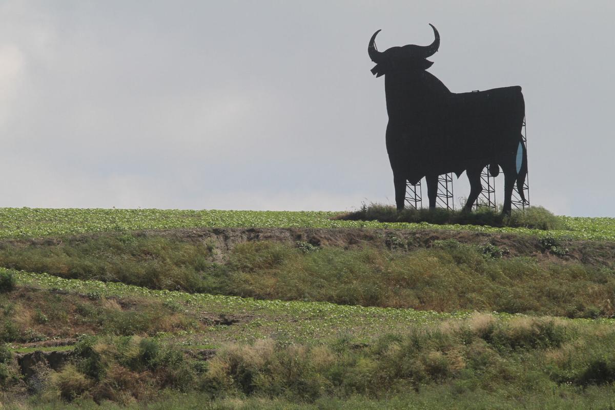 toro osborne en la cuesta de los visos