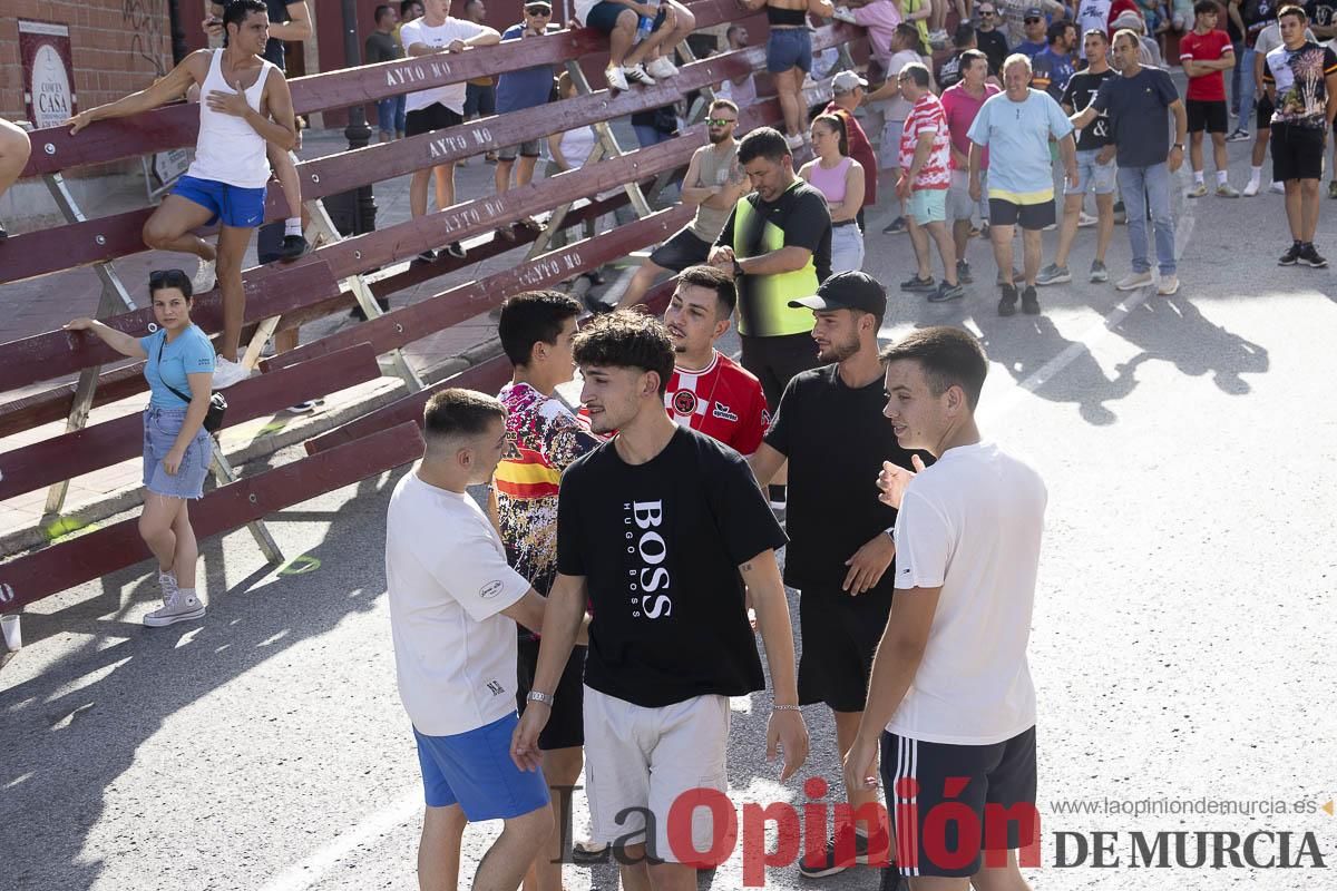 Quinto encierro de las Fiestas de Moratalla