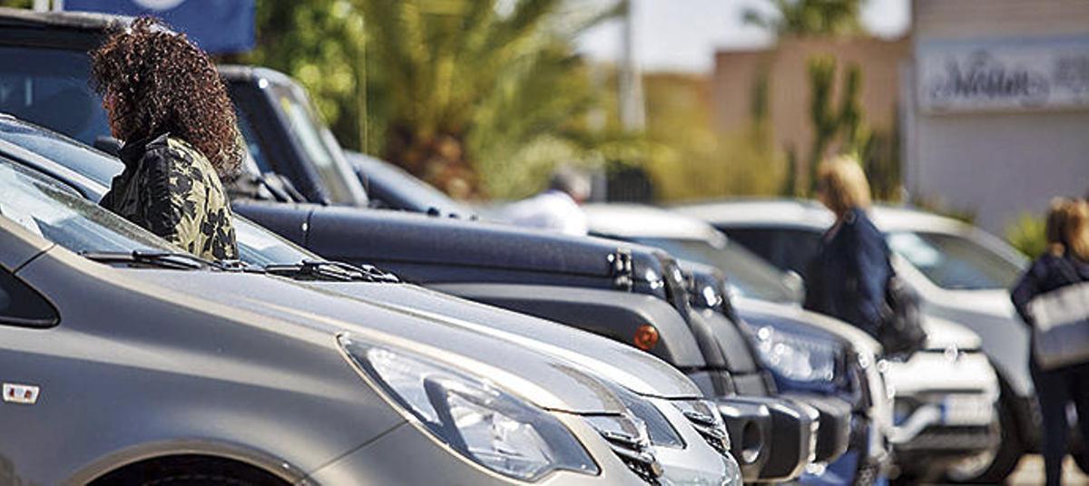 Imagen de la feria celebrada el pasado año en Sant Jordi.