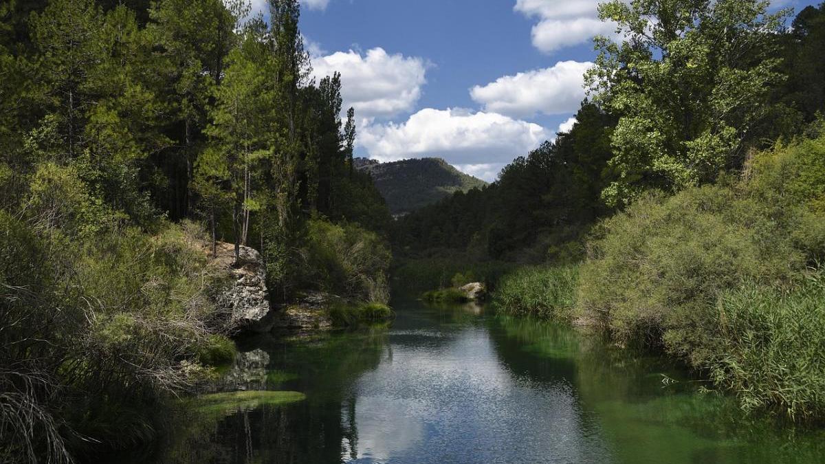 Imagen actual del cauce del río Tajo desde donde se capta agua para el trasvase