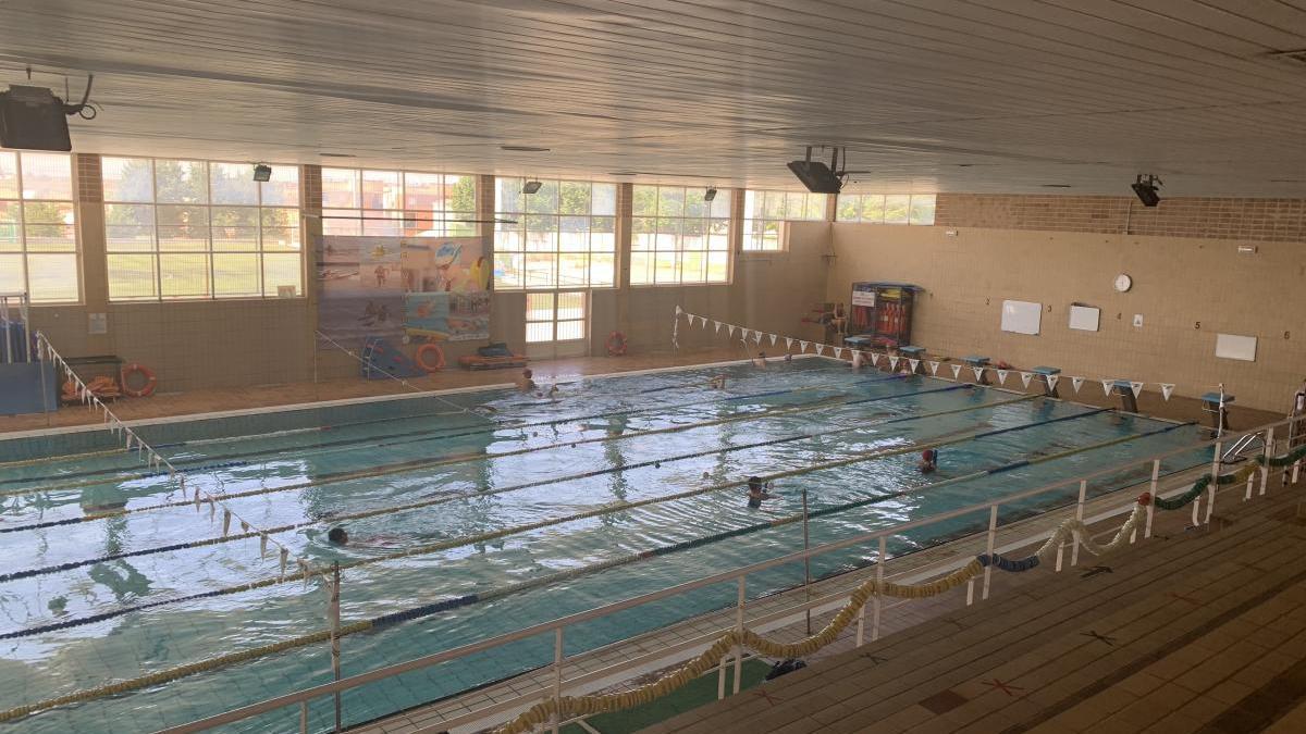 Grupos reducidos para los cursos de natación en la piscina climatizada - El  Periódico Extremadura