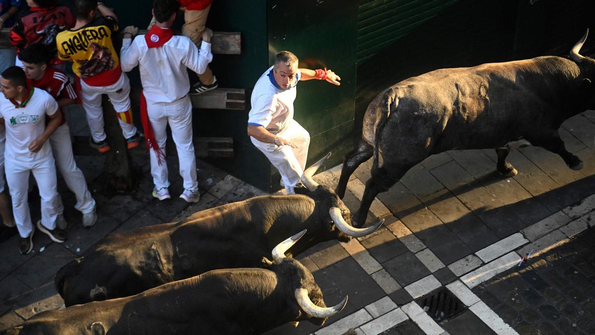 Octavo y último encierro de San Fermín con toros de la ganadería Miura