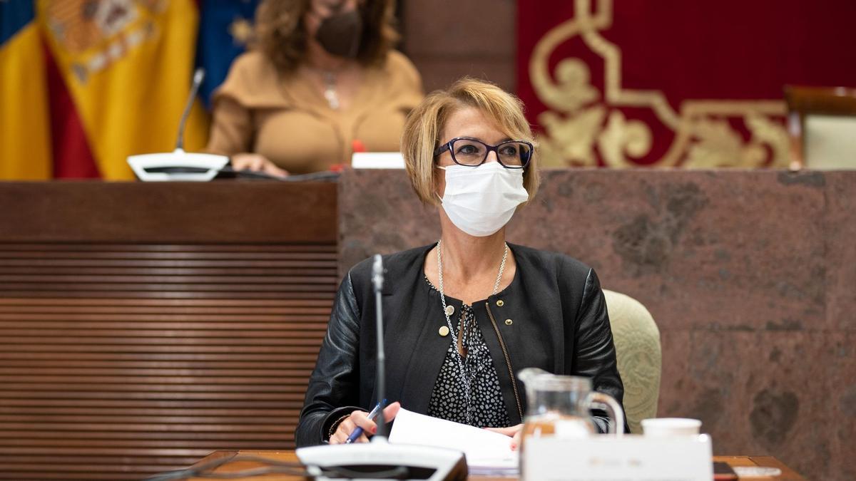 Elena Máñez, en una anterior comparecencia en el Parlamento canario.