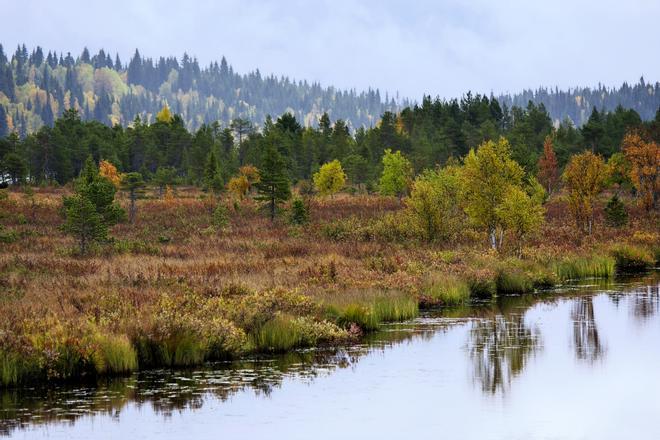 Lago Inari y los colores de la Ruska