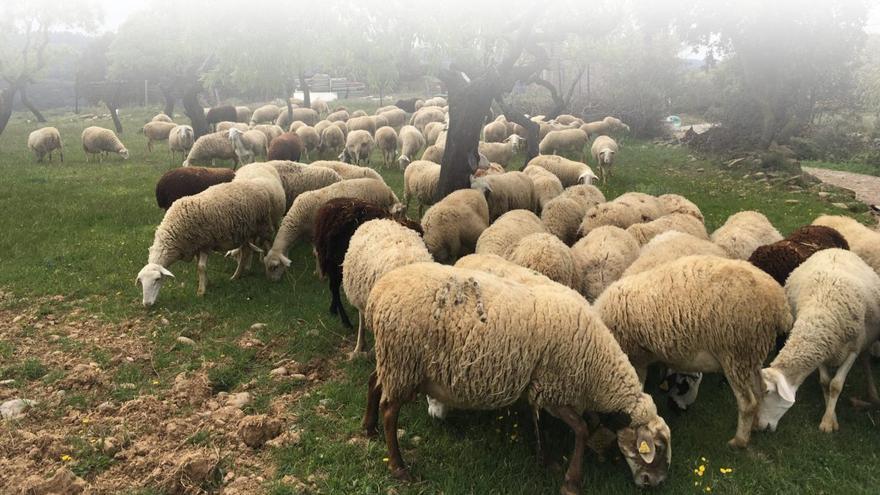 Biscarrués promueve las prácticas tradicionales