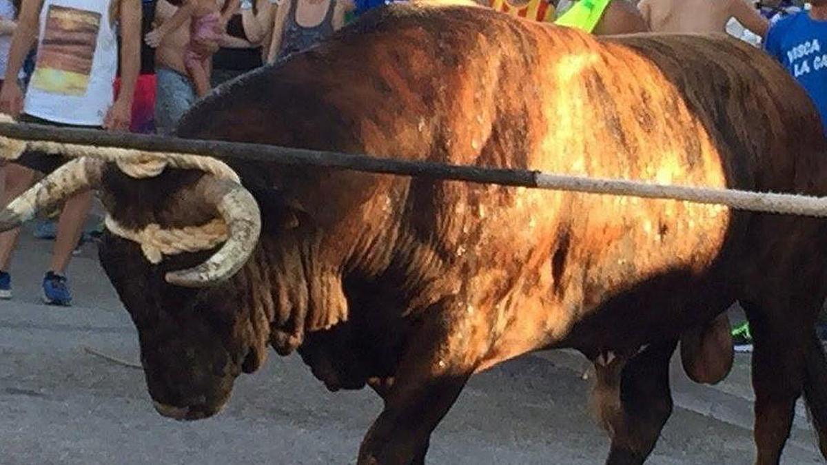 Ferit greu un jove en un correbou a l’Ampolla