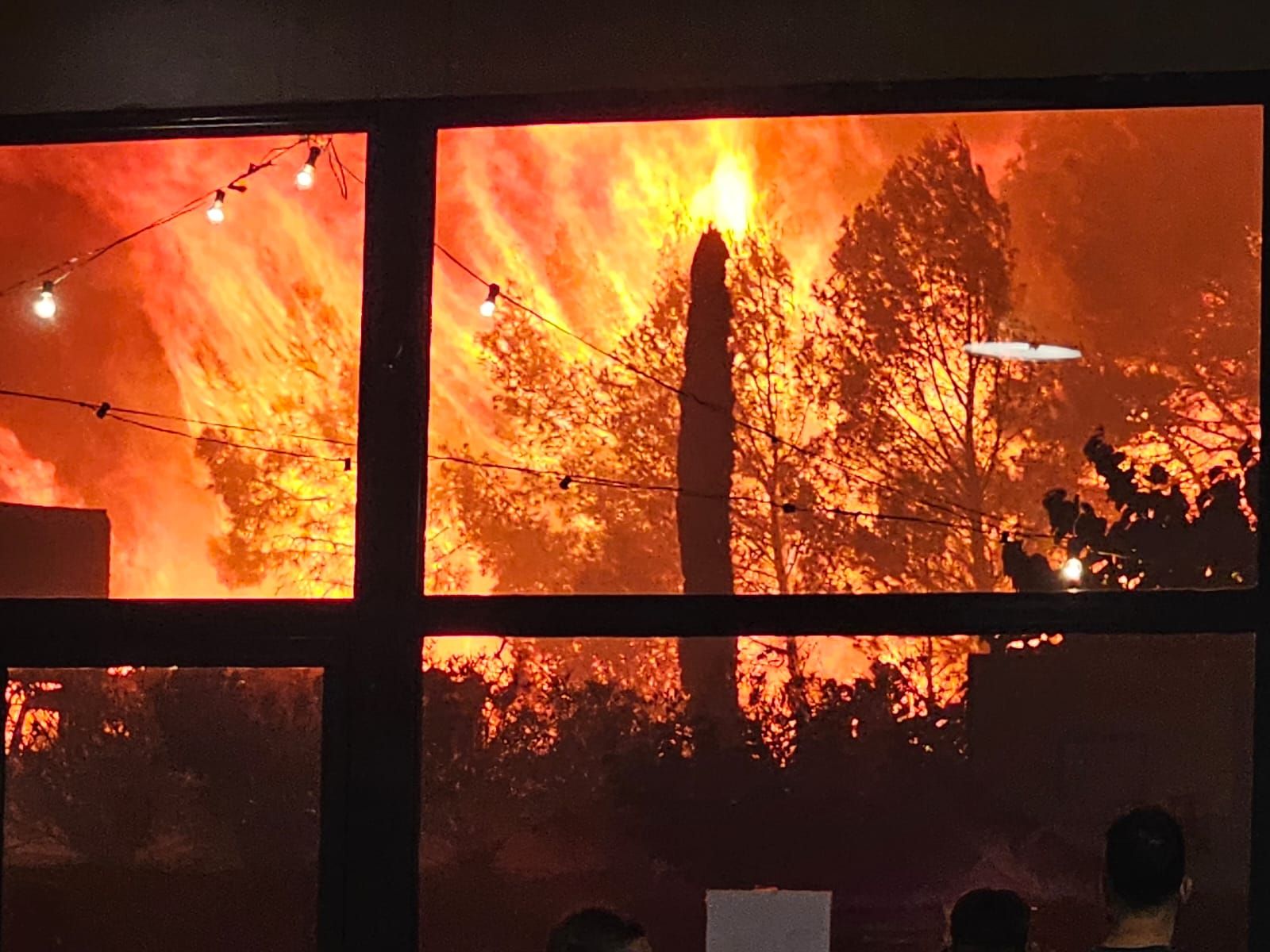 Galeria de fotos: Incendi entre Portbou i Colera