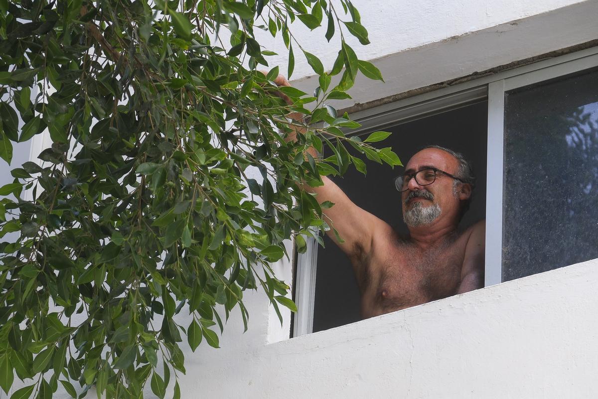Jorge González aparta una de las ramas de la copa del árbol que entra por la ventana de su vivienda.