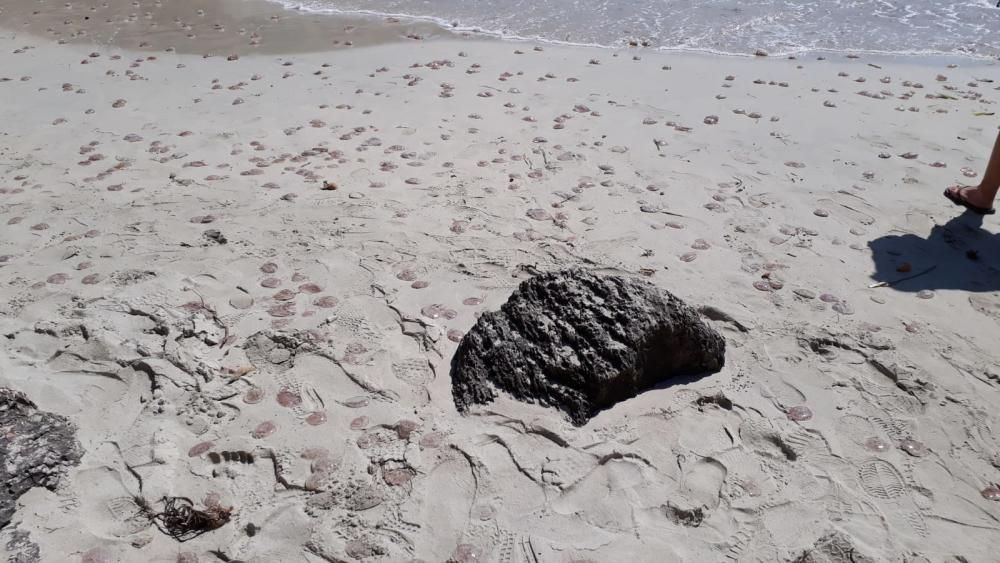 Invasión de medusas en Caló des Moro