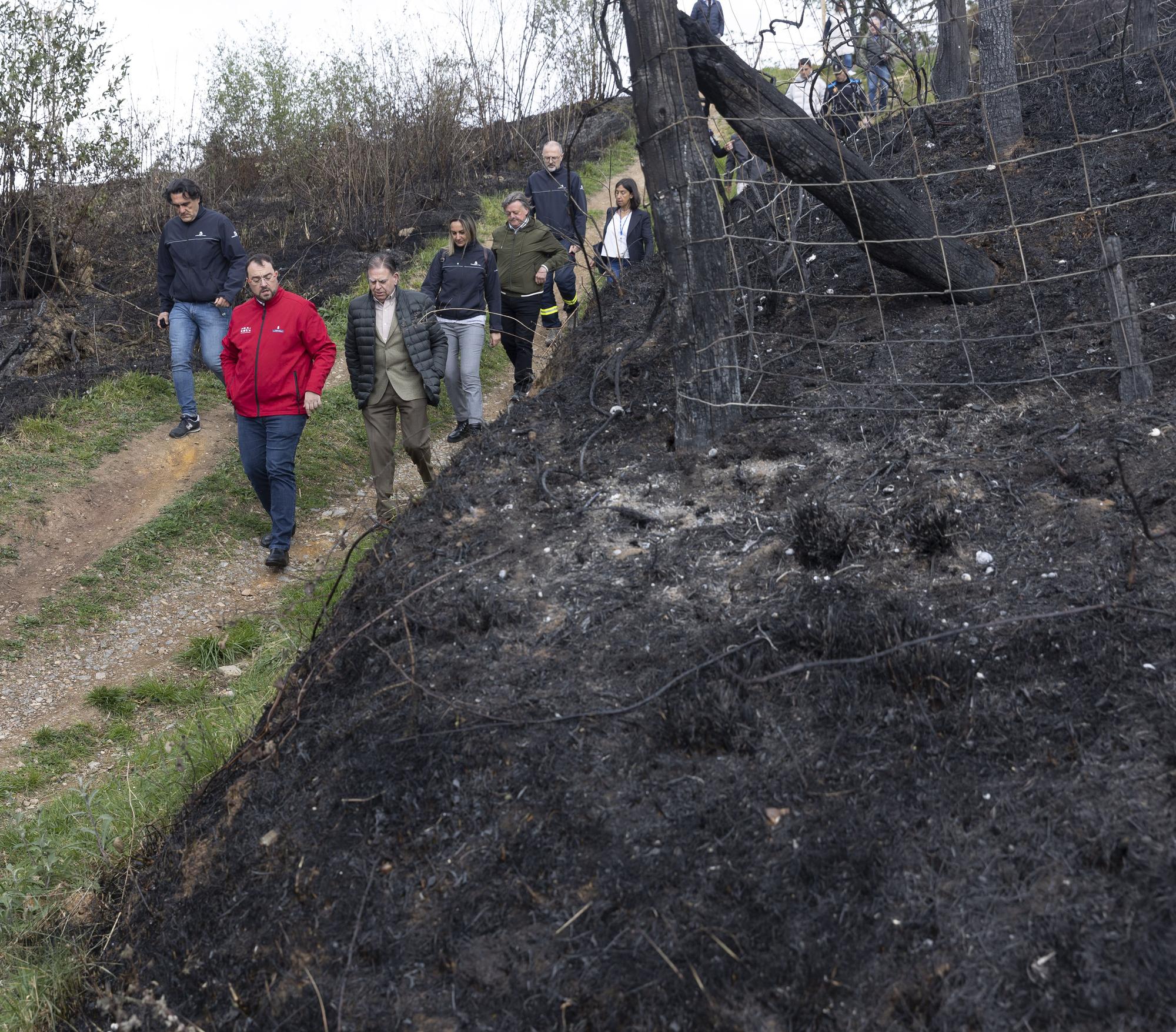 El Naranco, en Oviedo, devastado por las llamas