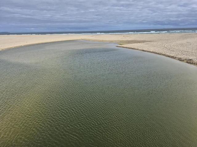 Situación actual da canle de desaugue da lagoa de Baldaio, na que se aprecia o taponamento.