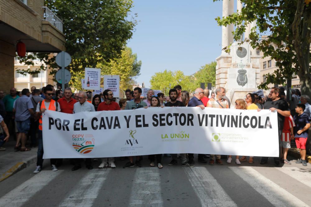 Instante de la tractorada de protesta en Requena.