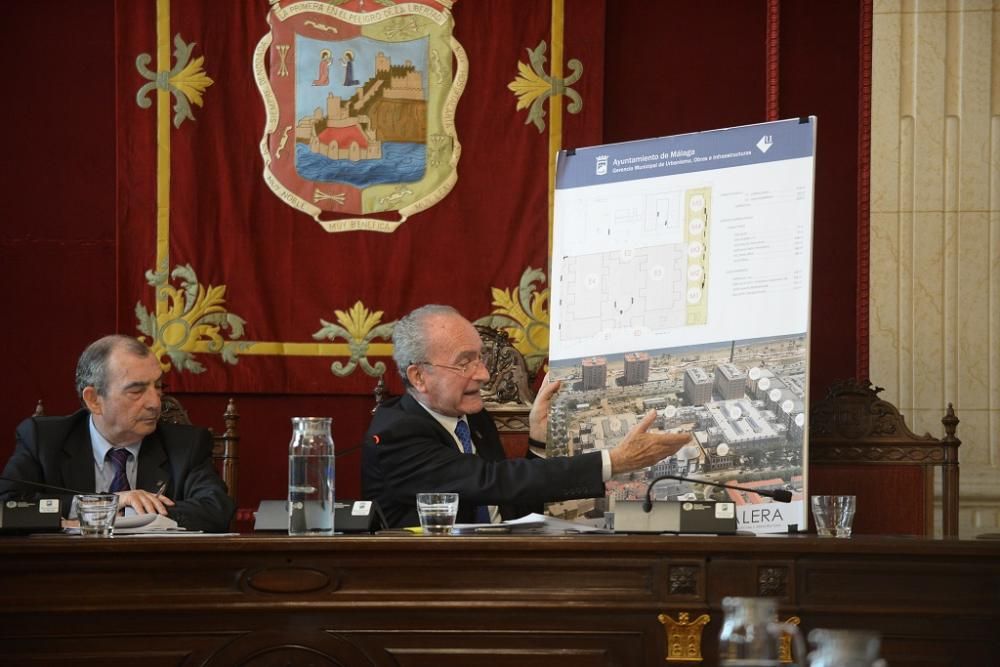 Pleno extraordinario sobre Art Natura en el Ayuntamiento