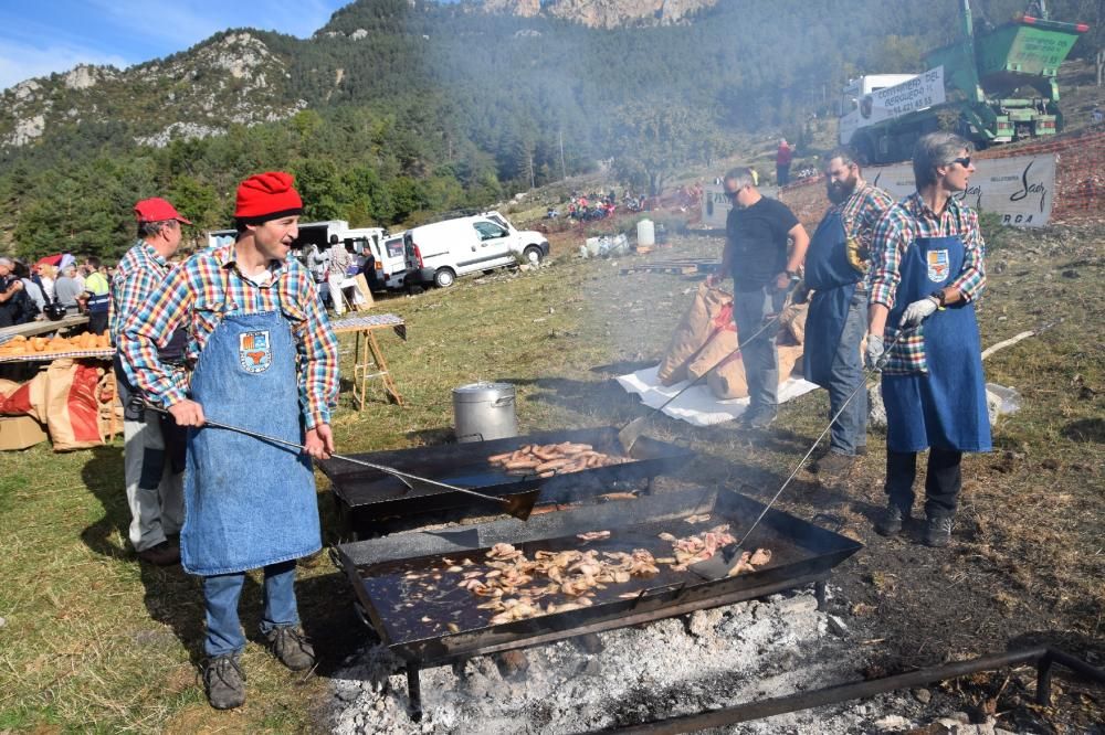 Concurs boletaire de Puigventós