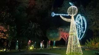 Los Amigos de La Concepción vuelven a criticar las luces navideñas