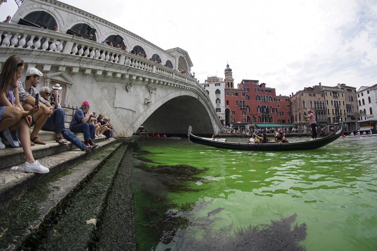 Alerta en Venecia: el agua del Gran Canal se tiñe de verde