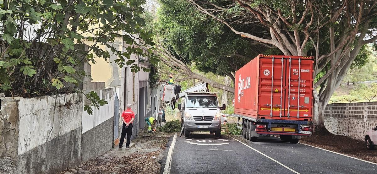 Trabajos de retirada de las ramas tras el incidente con un camión en la recta de Jacomar, en Tamaraceite