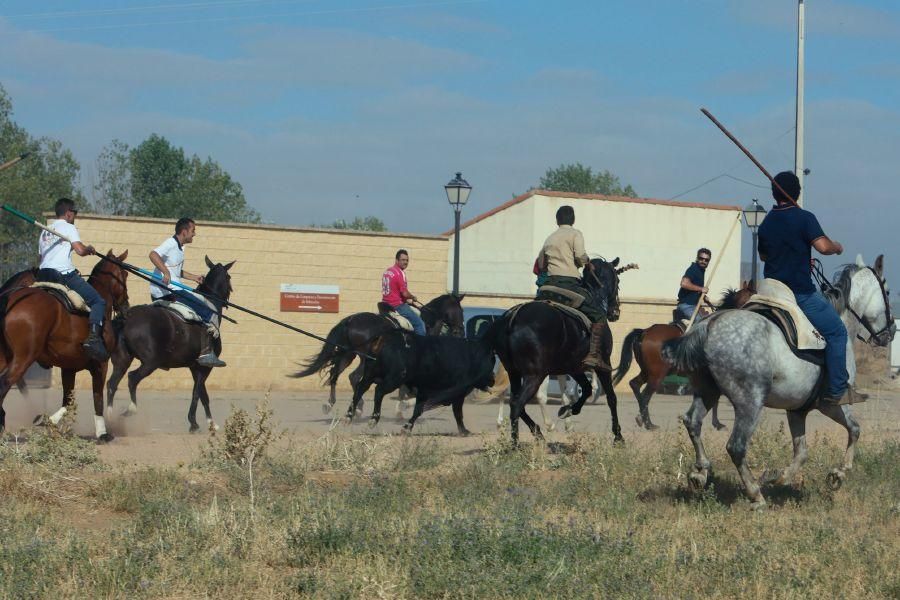 Villalpando despide los toros