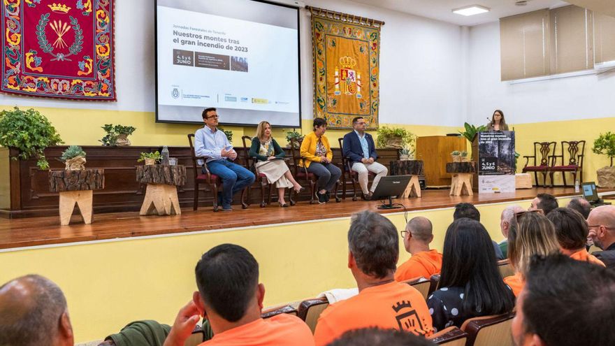 Combating Tenerife Wildfires: The Importance of Prevention