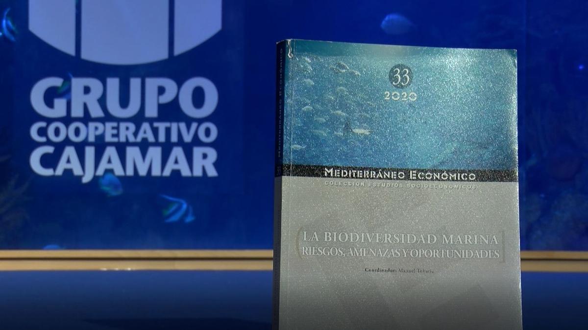 Biodiversidad marina como garantía de protección y subsistencia del planeta