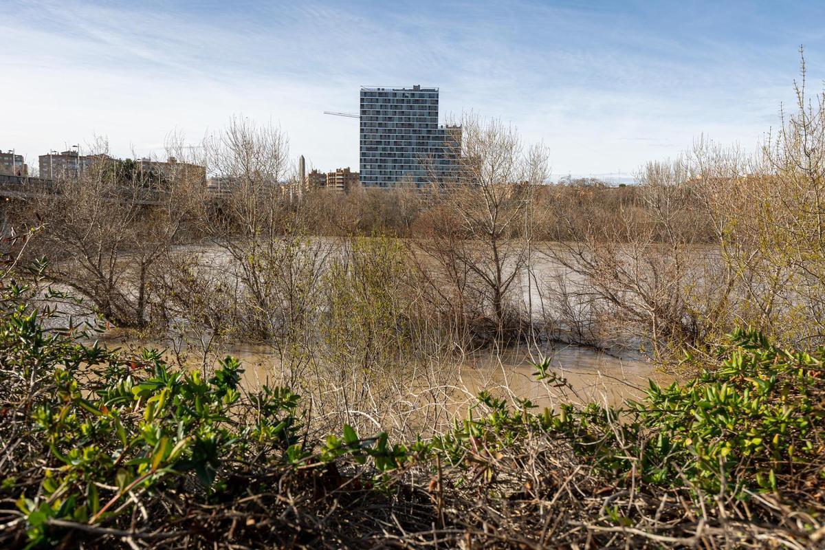 En imágenes I Así está el río Ebro a su paso por Zaragoza este lunes