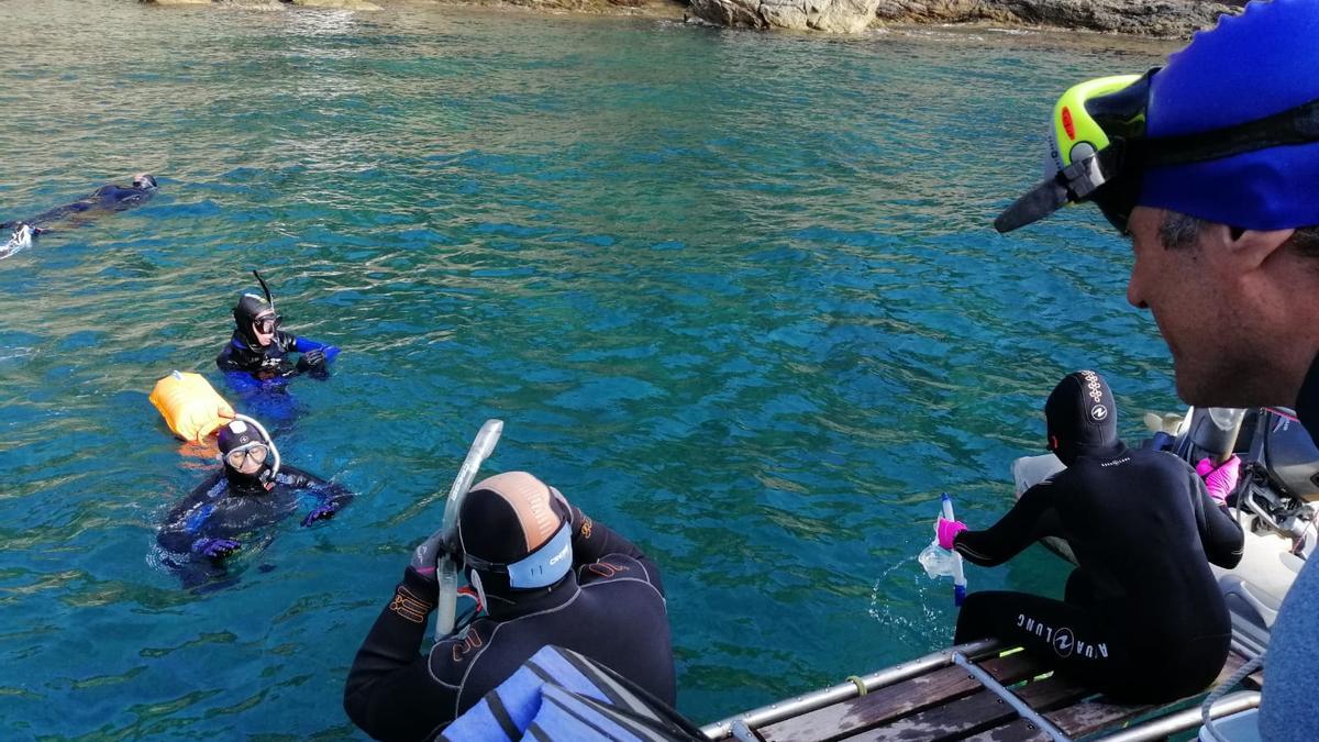 Un estudi científic en què els investigadors fan snorkel en el marc de la Càtedra Oceans i Salut Humana