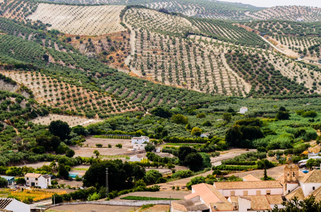 Baena, Córdoba, Andalucía.