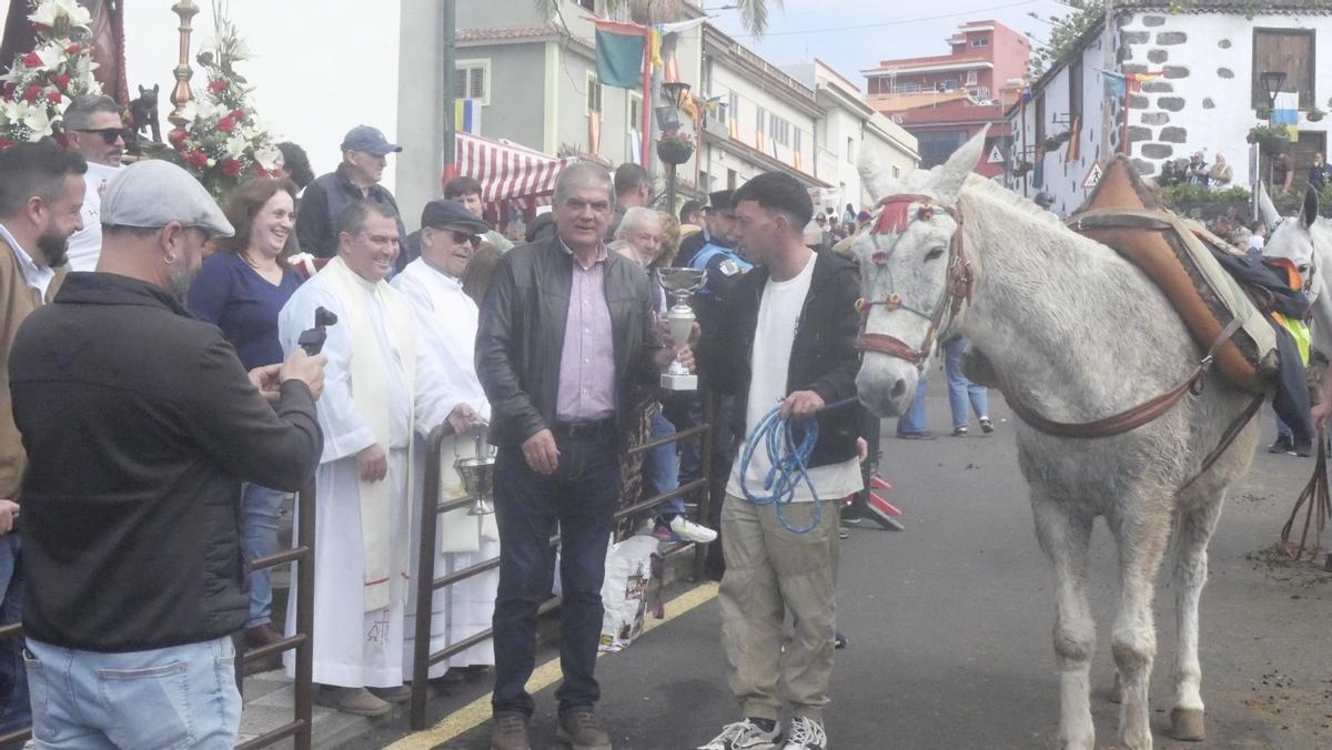 Feria del Ganado en La Matanza en el día grande de San Antonio Abad