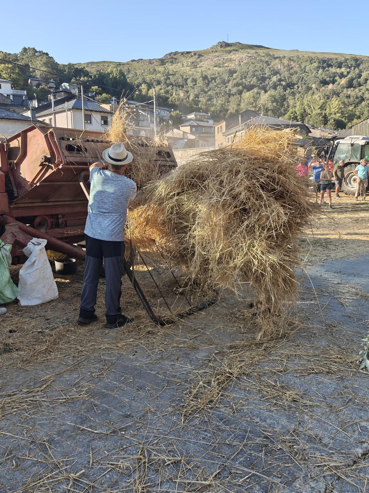 El pelleiro