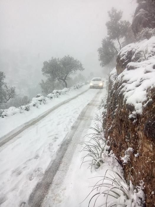 La Serra se viste de blanco