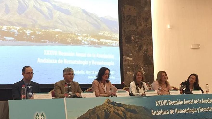 Imagen de la inauguración oficial del congreso en el hotel Barceló de Marbella.