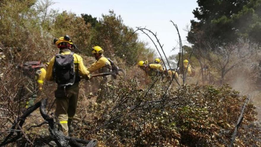 La investigación sobre la causa del incendio de Gran Canaria durará entre tres y cuatro meses