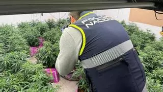 Al menos catorce detenidos en una nueva redada contra el narcotráfico en el Polígono de La Paz en Murcia