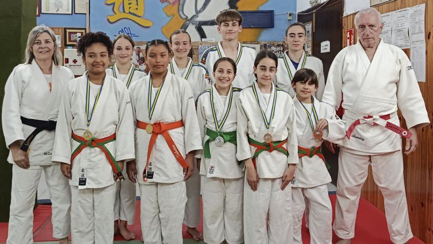 Judo Gandoy, protagonista del campeonato de Asturias