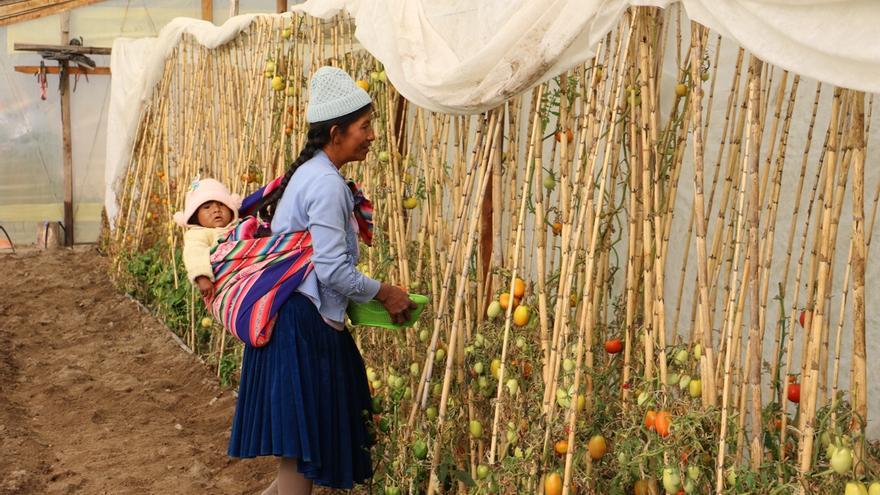 «Les persones que patiran fam en 2030 podrien arribar als 1.000 milions»