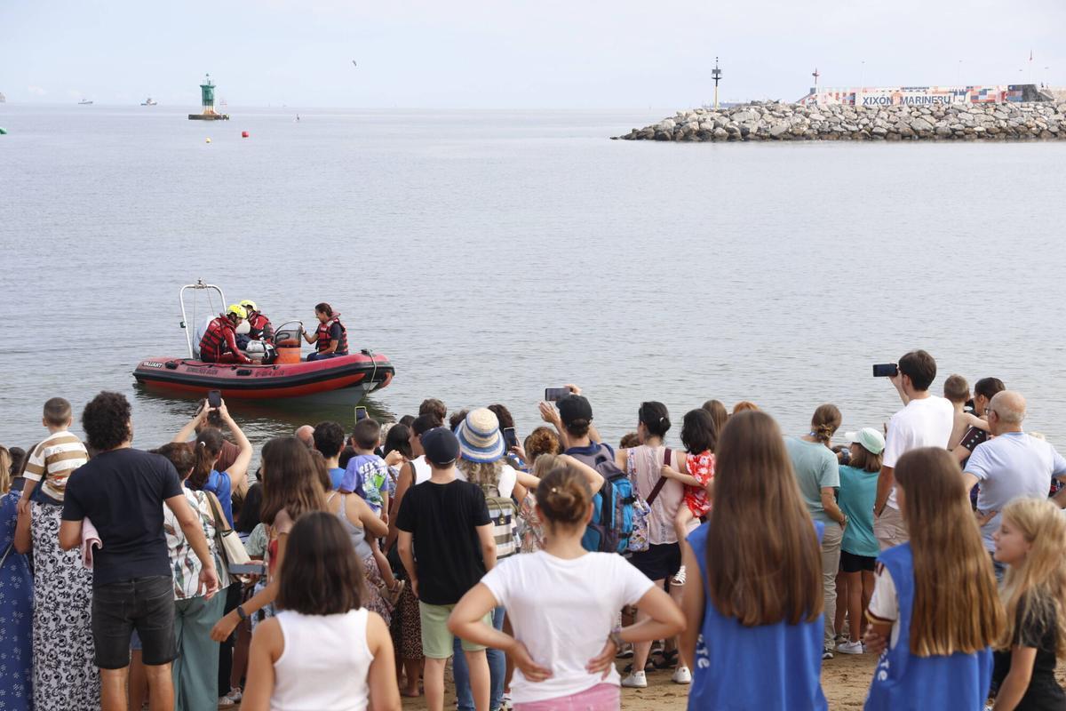 La vuelta al mar de la tortuga lora rescatada en Gijón tras recuperarse en el Acuario, en imágenes La vuelta al mar de la tortuga lora rescatada en Gijón tras recuperarse en el Acuario, en imágenes