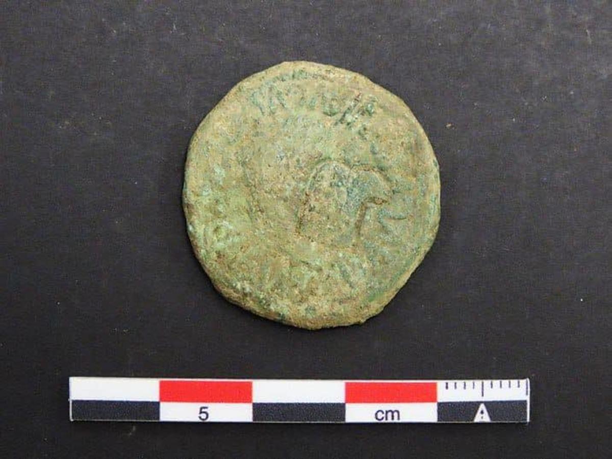 Los nuevos "tesoros" de la Campa Torres, en imágenes Los nuevos "tesoros" de la Campa Torres, en imágenes