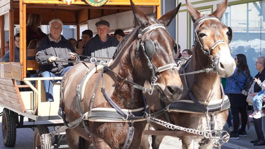 Sant Vicenç celebra la Festa de Sant Antoni amb doble aniversari centenari