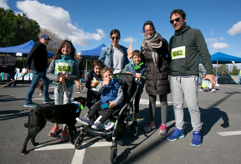 Can We Run: Gran carrera de perros para la concienciación animal