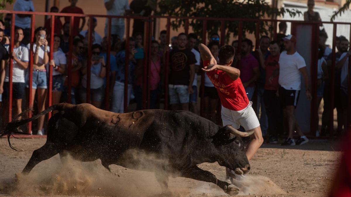 Momento del toro de cajón en Arcenillas. | E. F.