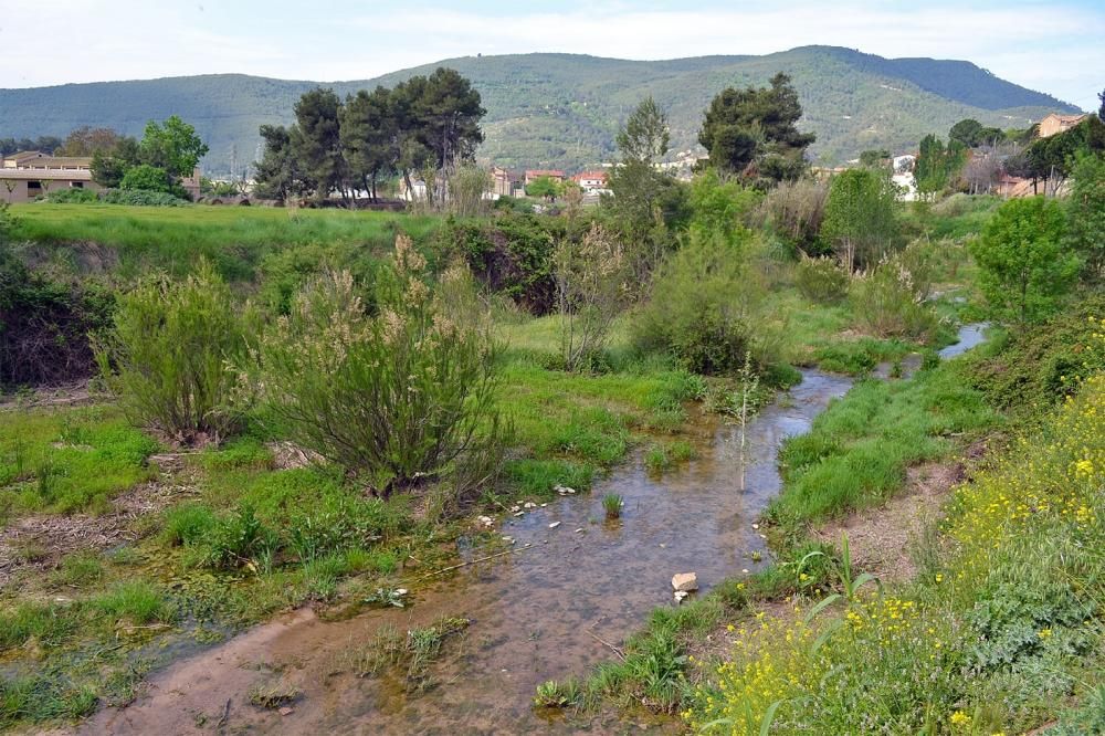 Visita guiada a la riera del Tordell de Súria