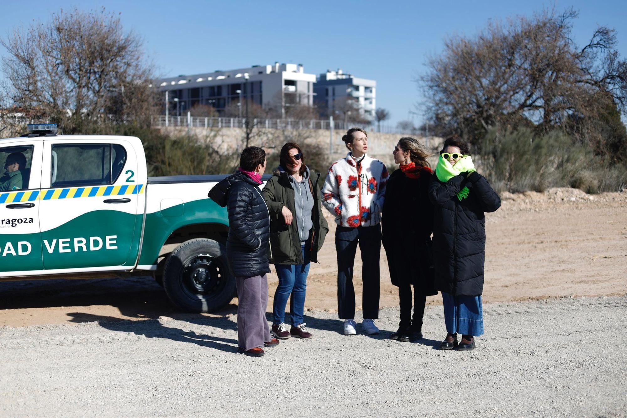 Protagonistas de los Feroz plantan árboles en el Bosque de los Zaragozanos