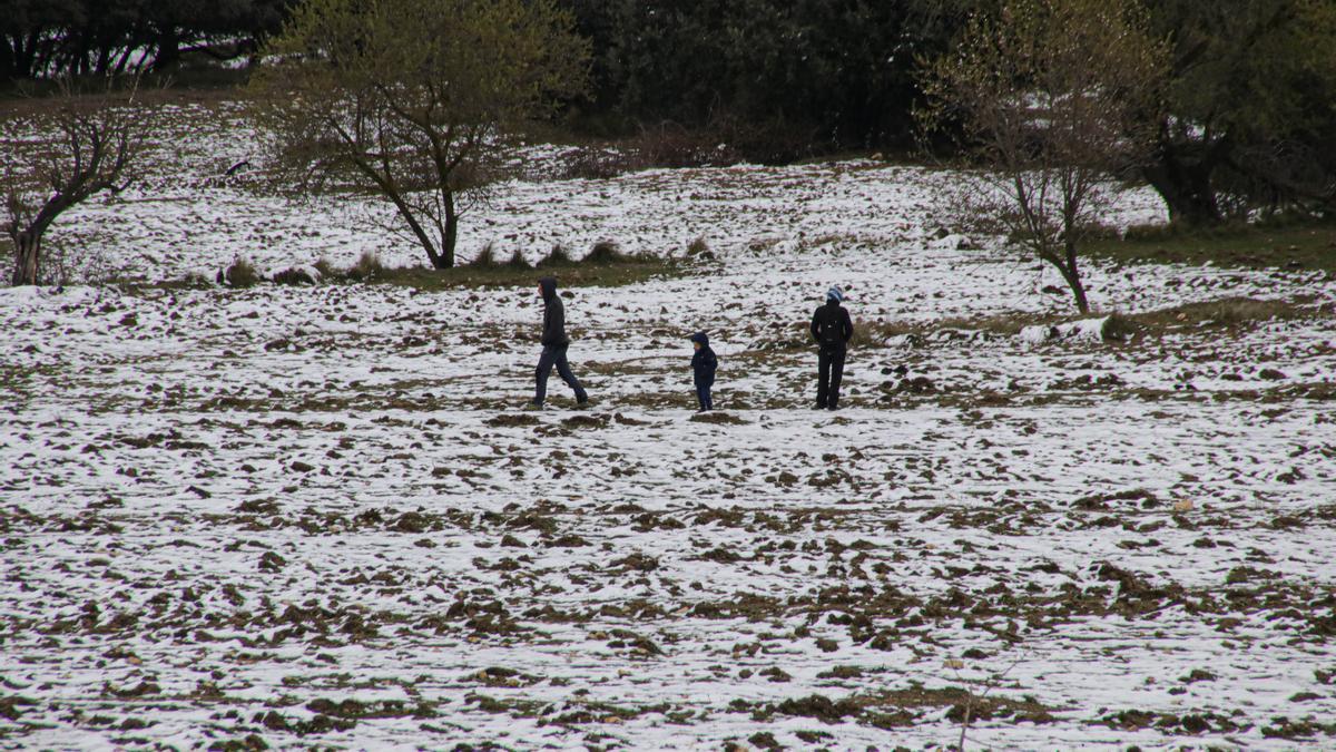 Visitantes disfrutando de la nieve en el entorno del alto de la Carrasqueta, en Xixona, este viernes.