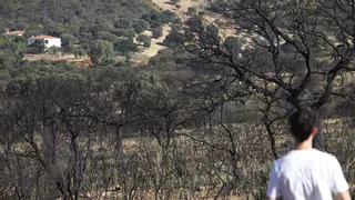 Frustración en Alcaracejos un año después del incendio del Puerto del Calatraveño