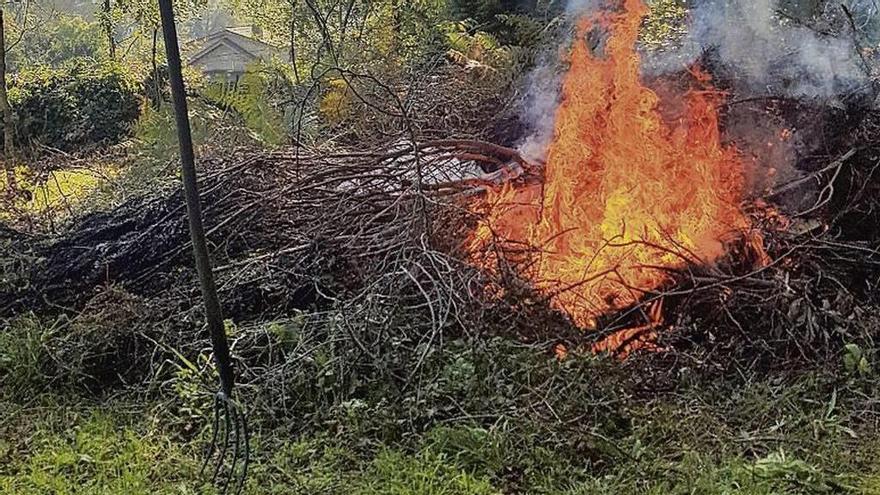 Quema de restos forestales