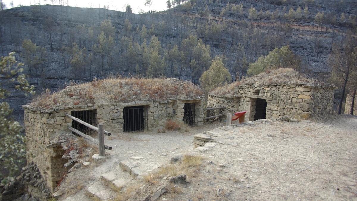 Les tines s&#039;han convertit en un reclam turístic per a la comarca