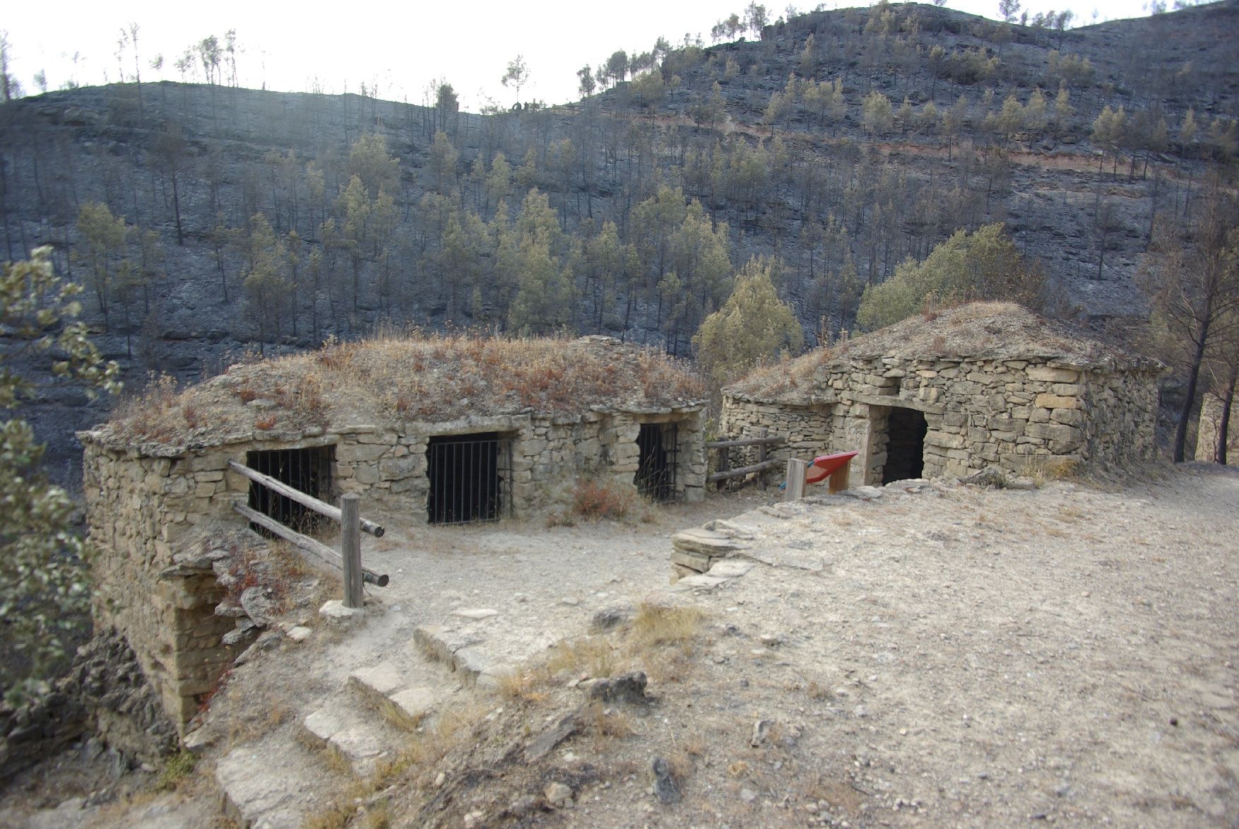 El foc envolta de cendra les tines de la Vall del Flequer